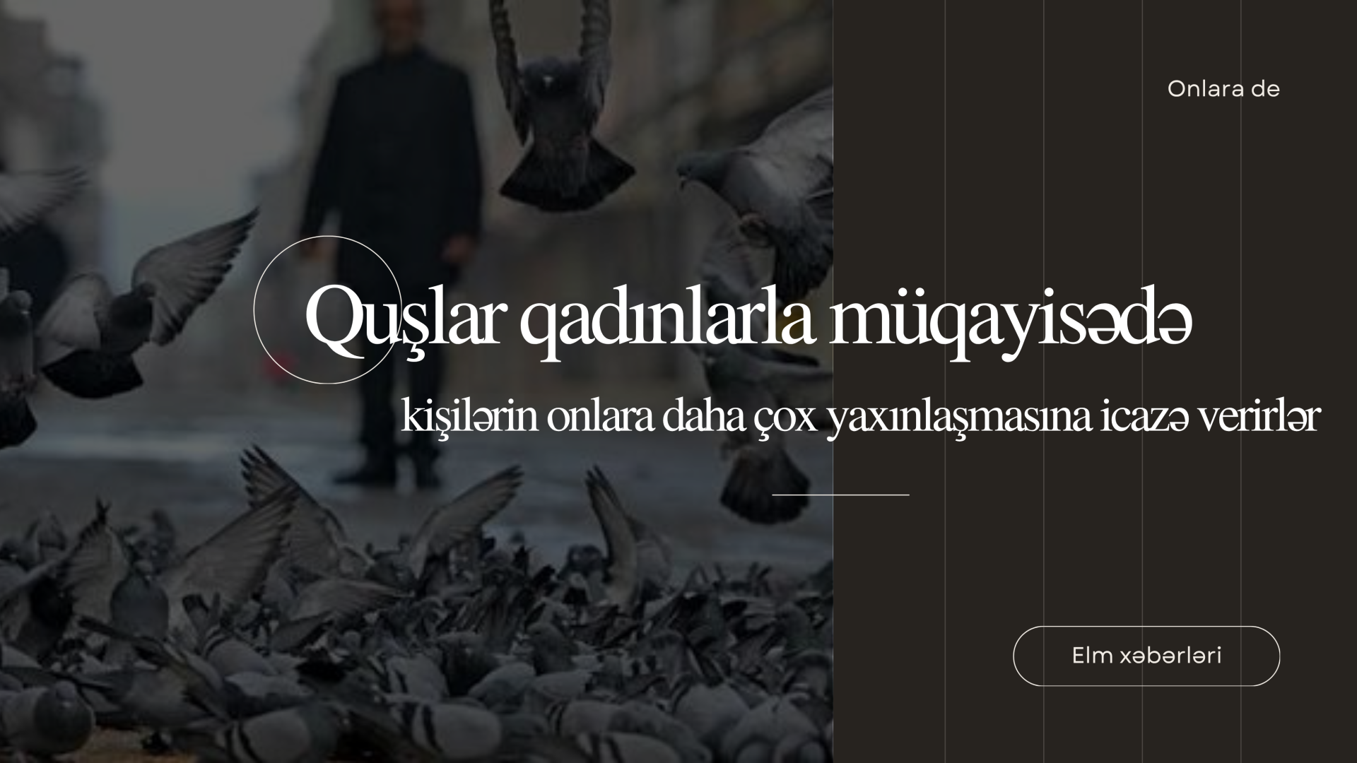 Quşlar qadınlarla müqayisədə kişilərin onlara daha çox yaxınlaşmasına icazə verirlər